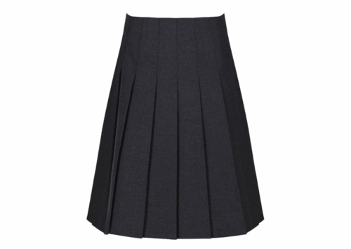 Girls Junior Grey Pleated School Skirt Product Image