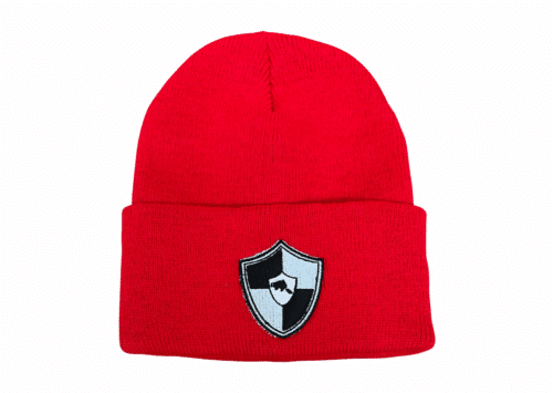 Salterford – Ski Hat Product Image