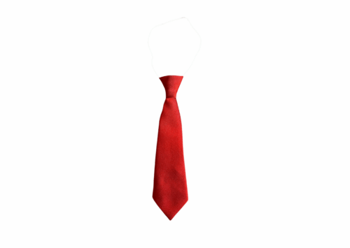 Salterford – Elastic Tie Product Image